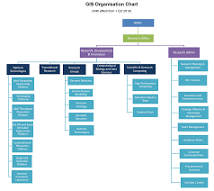 Organisation Chart