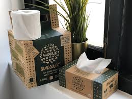 The bambusi floor shower mat gives your bathroom a contemporary look, bringing your space a mix of nature and style. Bambooloo Crowdfunding Plastic Free Startup Raises Us 250k To Disrupt Toilet Paper