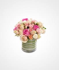 Check spelling or type a new query. Rangkaian Bunga Rose Sorbet Olusta