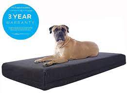 Make sure to choose a bed large enough for your dog by picking one that's about 18 x 13 in size if they weight 1 to 10 pounds, for example, or one. Cooling Orthopedic Foam Dog Bed