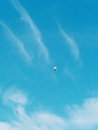 Rockport/Fulton Living the Salt Life