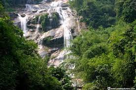 Pasalnya, sebelum sah dibuka untuk biasa pada tahun 2004, lokasi tersebut ini ditutupi semak belukar. Air Terjun Lata Kinjang Ngahinapouri New Zealand