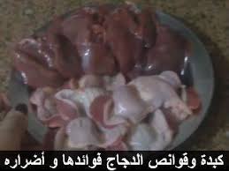 بينى فتس موقع فوائد الغذاء للصحة هل كبدة الدجاج مضرة فوائد كبدة الدجاج للرجيم كبد و Poultry Food Desserts