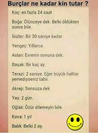 Tale Adli Kullanicinin Dusunceler Panosundaki Pin Burclar Ikizler Ikizler Burcu