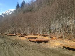 Tools that make camping simple. Mill Campground Closing For The Season On Oct 15 City And Borough Of Juneau