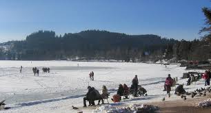 Von titisee zum aussichtsreichen hochfirst. Schwarzwald Photo Gallery Lake Titisee Ice Bound