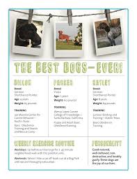 Meet A Professional Dog Resume Writer Resume Design Resume Design Free Resume Design Layout