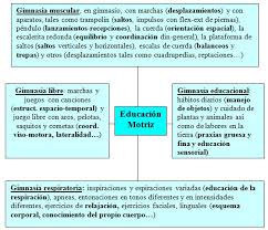 Juguetes montessori, waldorf y pikler 100% ecológicos y sostenibles. La Educacion Fisica En El Metodo Montessori Original