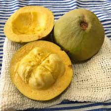 Image result for Pouteria