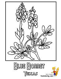 Subscribe to the boomerang uk. Distinguished Flower Coloring Pages P W Penn Wyoming Territories