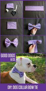 The Best Dog Collars To Buy In 2021 Pets Guided Diy Dog Collar Diy Dog Stuff Dog Collar Bow Tie