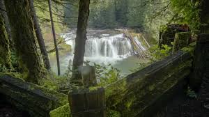Washington contains 11 state forests. Visit Your Pacific Northwest National Forest Youtube
