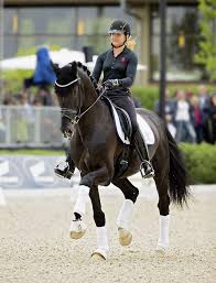 That becomes more and more apparent throughout the interview. Dorothee Schneider And Sezuan Pferde Reiten Dressur