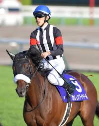 カレンブーケドールの競走成績 日付 競馬場 r 天気 レース名 頭数 枠番 馬番 オッズ 人気 着順 騎手 斤量 距離 馬場 タイム 着差 通過 上り 馬体重 勝ち馬 (2着馬) 2021/05/02 阪神 11 晴 天皇賞（春）(g1) 17 2 3 7.3 4 3 戸崎圭太 56.0. ç§‹è¯è³ž ã‚«ãƒ¬ãƒ³ãƒ–ãƒ¼ã‚±ãƒ‰ãƒ¼ãƒ«ï¼'ç€ ã¾ãŸã‚‚ï½‡ï¼'ã‚¿ã‚¤ãƒˆãƒ«ãŠé ã' ç«¶é¦¬ãƒ‹ãƒ¥ãƒ¼ã‚¹ Netkeiba Com