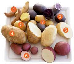 Potato Types Different Types Of Potatoes Potato Goodness Canning Recipes Types Of Potatoes Cooking And Baking