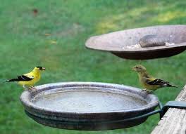 Bird Bath For Deck Railing Clamp On Deck Bracket For Bird Baths Feeders Bird Bath Deck Garden Outdoor Garden Decor