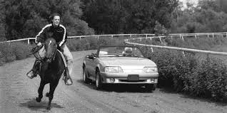 Now draw the neck and front leg. 1991 Ford Mustang Car Vs Mustang Horse