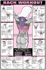 Best exercises to target each muscle group. Back Workout Poster By Bruce Algra Workout Posters Fitness Body Back Workout