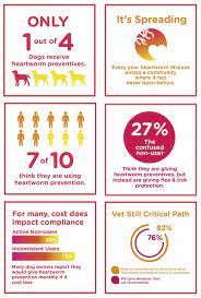 Heartworm Prevention Clients Can T Comply If They Don T Know They Should Page 2 Of 2