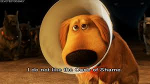 Love This Movie Cone Of Shame Southern Charm Disney Magic
