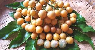 Image result for Clausena lansium