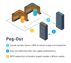 If you rely on the information on this. What Is A Liquid Peg Out Blockstream Help Center