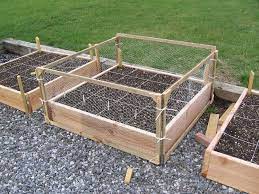 Maybe you would like to learn more about one of these? Picasa Web Albums Luke Eelman Chicken Wire Fence Chicken Garden Garden Boxes