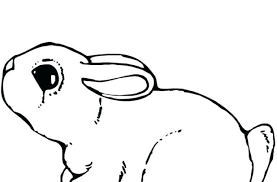 Select one of 1000 printable coloring pages of the category adult. Detailed Bunny Coloring Pages