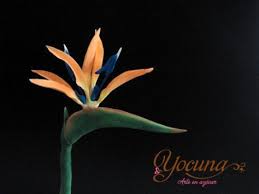 Strelitzia Ave Del Paraiso Birds Of Paradise Paradise Flowers Plant Leaves