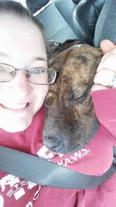 These are our 4 rescues; top left is Tiberius Kirk, top right is Toulousia  Marie, bottom left is Tawni Road, then Tiberius with Tempest Storm.  Toulousia at 14 is our oldest; born