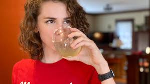 As Goes Wisconsin: Kristin Brey found path in comedic political videos