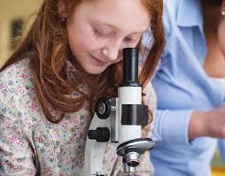 WYOMING COMMUNITY FOUNDATION ii