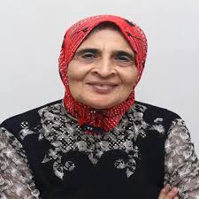 Hanaa El Mohamady Ibrahim Hamad