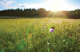 56th Anniversary Celebration Banquet