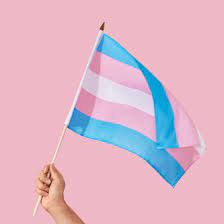 The transgender flag was created in 1999 and comprises the colours blue to represent males, pink to represent females and white to represent those who are transitioning, intersex or consider. Transgender Flag Colors Meaning For Trans History