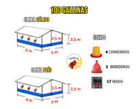 Dimensiones y equipo necesario para alojar 100 gallinas en ...