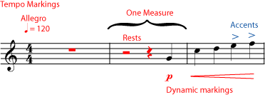Bar line (or barline) bar lines separate measures (bars) of music according to the indicated time signature. What Is The Staff Introduction To Music Theory