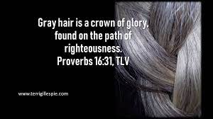 Gray hair is a crown of glory; Wisdom S Journey Proverbs 16 31 Terri Gillespie