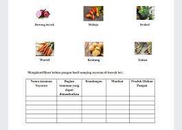 We did not find results for: Mengidentifikasi Bahan Pangan Hasil Samping Sayuran Di Bawah Ini Brainly Co Id