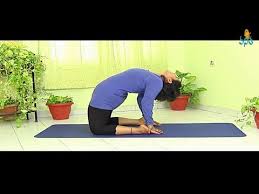 Yoga Ustrasana Tips Youtube