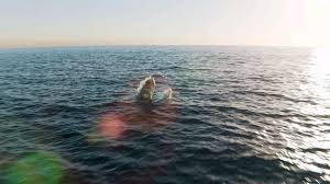 Giant Lizard Breach!