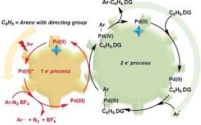 Chúng tôi muốn hướng đến tương lai. One Pot Tandem Photoredox And Cross Coupling Catalysis With A Single Palladium Carbodicarbene Complex Angewandte Chemie International Edition X Mol