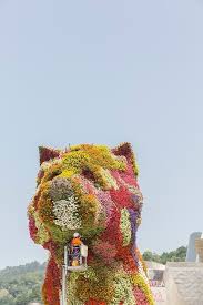 We did not find results for: Everything About Puppy The Flower Statue Guarding The Bilbao Guggenheim Museum