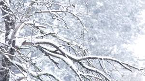 Viteza vantului, directia vantului, presiunea atmosferica, temperatura. Prognoza Meteo Smartpress Suceava