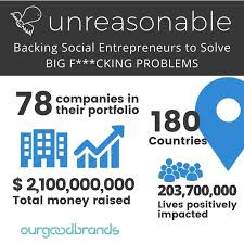 Challenges As A Social Entrepreneur Unreasonable Social Entrepreneur Social Entrepreneurship Business Social Business
