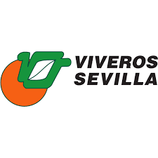 De la rinconada, km 3,5, , sevilla (españa). Viveros Sevilla Logo Download Logo Icon Png Svg