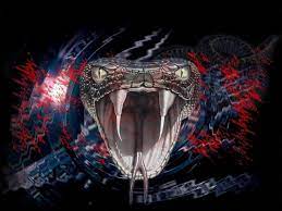 Snake Wallpaper Horror Snake Wallpaper Snake Images Animal Wallpaper