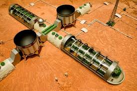 | germination period, seedlings care. How To Grow Vegetables On Mars Scientific American Blog Network