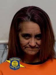 Soo man arrested for meth delivery after Grayling traffic stop