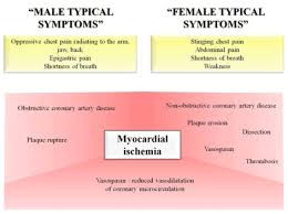 Gender Differences In Cardiovascular Disease